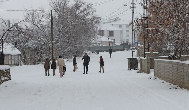 Bingöl Karlıova'da kar yağışı etkili oldu