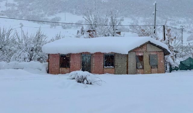 Bingöl'de 191 yerleşim yerine ulaşım sağlanamıyor