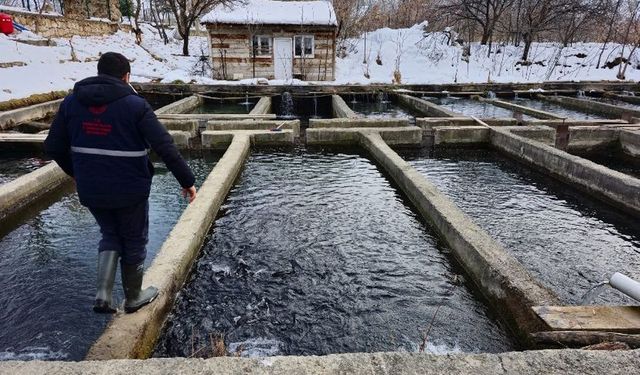 Erzincan’da kuluçhane tesislerinde denetime devam