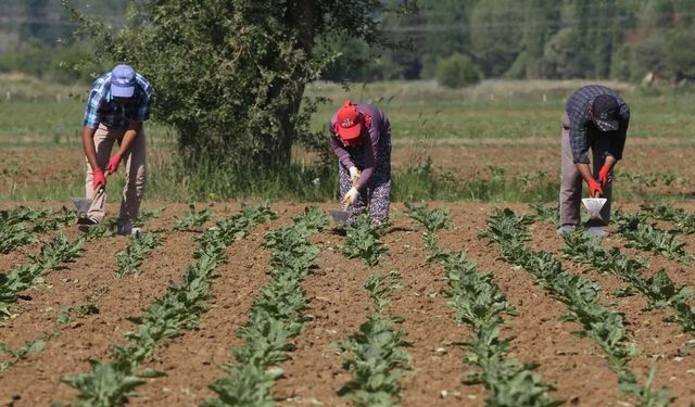 Çiftçi kayıt sistemi başvuruları için son günler!