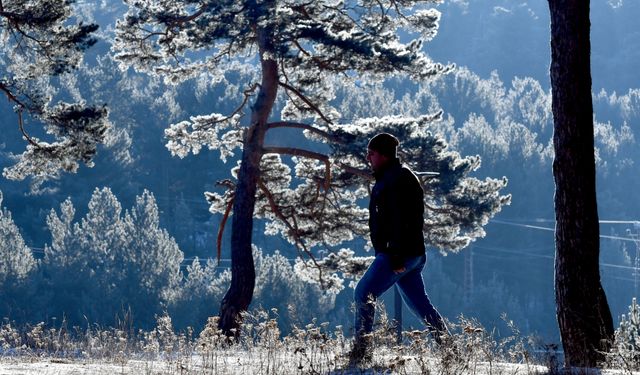 "Doğu Anadolu'yu Vuran Soğuk Hava: Erzurum, Ardahan ve Kars’ta Buzlanma ve Kırağı Etkili Oldu"