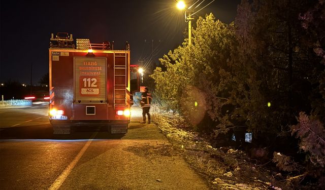 Elazığ'da ağaçlara çarpan otomobildeki 4 kişi yaralandı