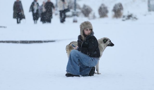 Erzurum, Kars, Tunceli ve Ardahan'da kar yağışı etkisini sürdürüyor