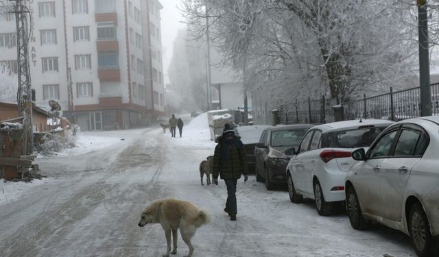 Erzurum Tekman Türkiye'nin En Soğuk Yeri Oldu: Sıfırın Altında 17 Dereceyi Gördü