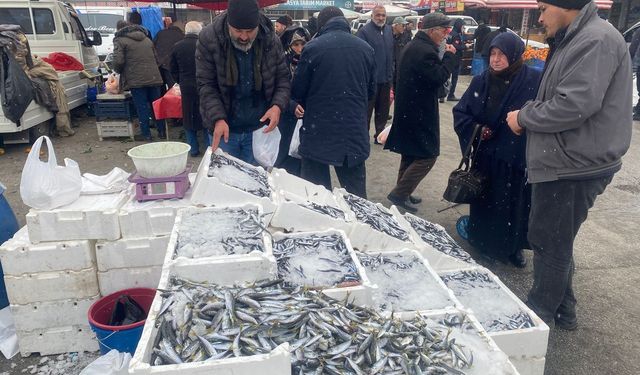 Soğuk Hava Balıkları Vurdu