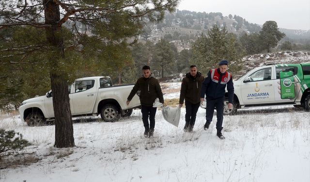 Kars'ta yaban hayvanları için doğaya yem bırakıldı