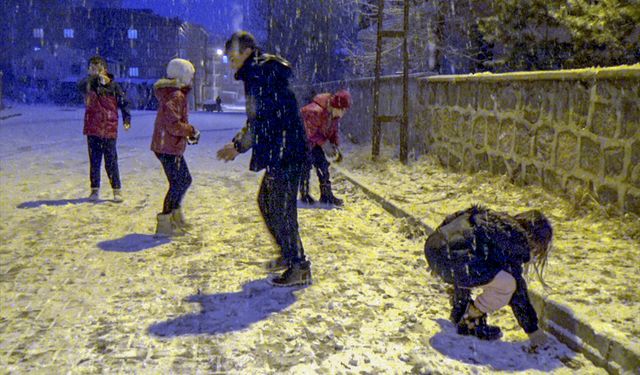 Sarıkamış'ta kar yağışı etkili oldu