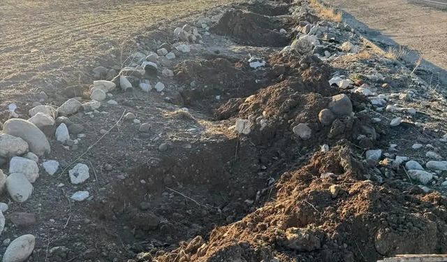 Tunceli'de belediyenin çevreyi yeşillendirmek için diktiği dut fidanları çalındı