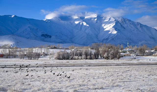 Van ve Bitlis’te Kar ve Tipi Sebebiyle 152 Yerleşim Yolu Ulaşıma Kapandı