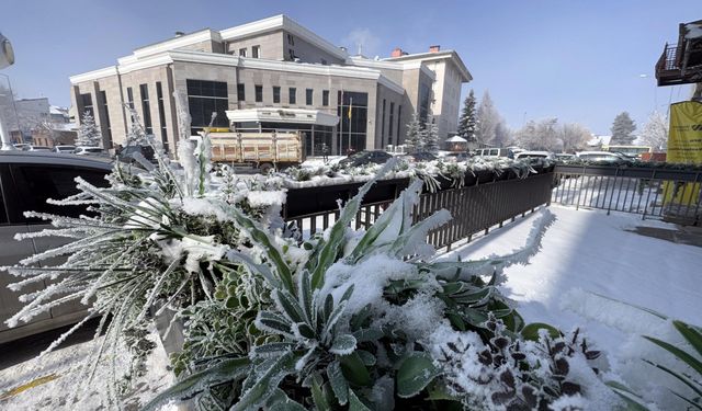 Ağrı'da soğuk hava etkisi