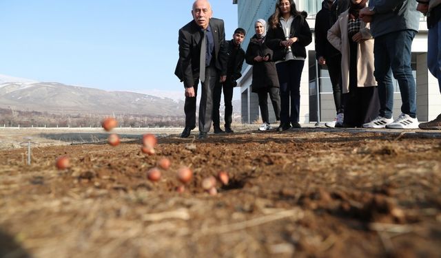 Erzincan'ın sokak oyunları