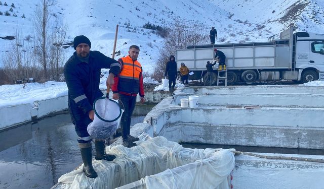 Erzincan’dan  Dünya Pazarına Balık  Ticareti