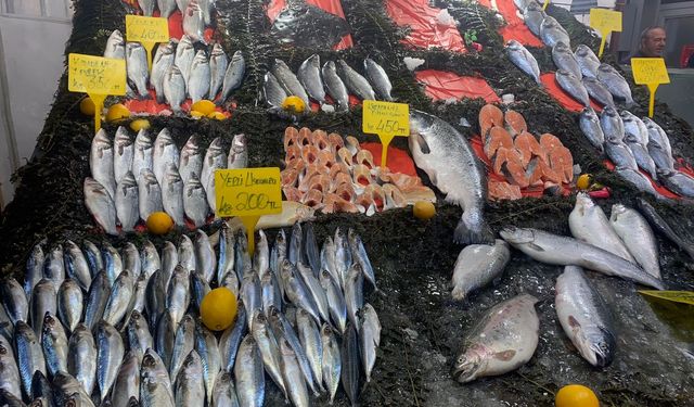 Erzincan’da  balık bollaştı