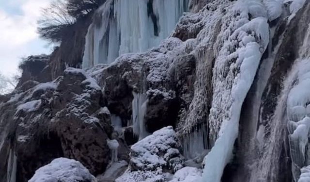 Erzincan’da ‘Doğanın’ Görsel Sanatı