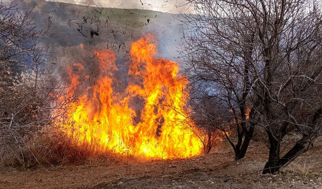 Çemişgezek’te Otluk Arazide Yangın