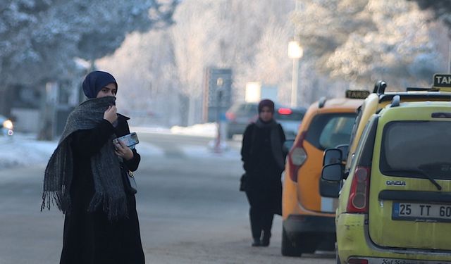 Doğu Anadolu'yu Etkisi Altına Alan Soğuk Hava: Erzurum'dan Tunceli'ye Buzlanma, Sis ve Kırağı Görüntüleri