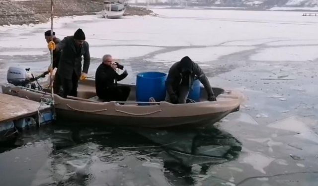 Donmuş Sularda alabalık üretimi