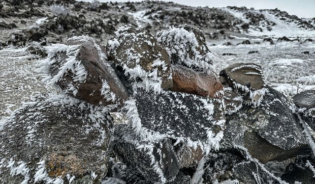 Iğdır ve Ağrı'da Soğuk Hava Etkisini Gösterdi: Ağaçlar Kırağıyla Kaplandı, Nehirler Dondu