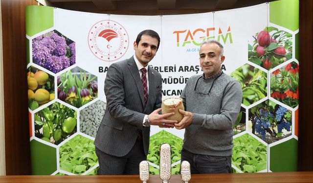 Erzincan'da İki Yeni Kuru Fasulye Çeşidinin Tescili İçin Başvuru yapıldı