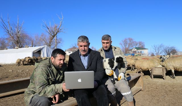 Muş'taki Besiciler, Yılın Kareleri Oylamasına Katıldı