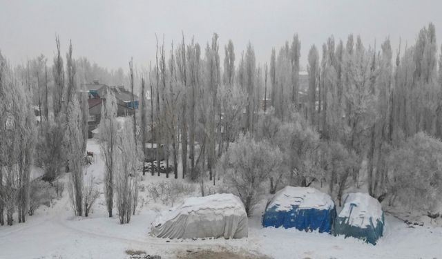 Ağrı'da Dondurucu Soğuklar Hayatı Zorluyor, Nehirler Buzla Kaplandı