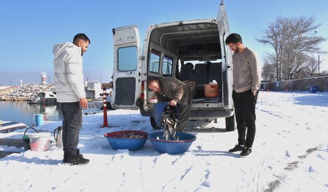 Van Gölü'nde Balıkçılar Zorlu Kış Koşullarına Rağmen Ekmeğini Kazanıyor