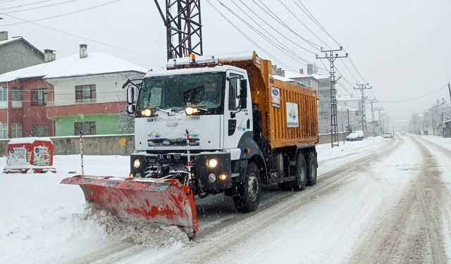 Van'da Kar ve Tipi Nedeniyle Kapanan Yollar Yeniden Açıldı