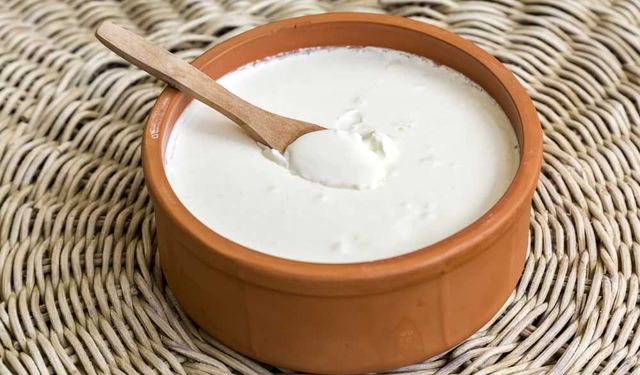 Gıdanın Geleceği Yoğurtta Şekilleniyor