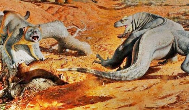 Megafauna Felaketi: Yok Oluşdan İnsan mı, İklim mi Sorumlu?