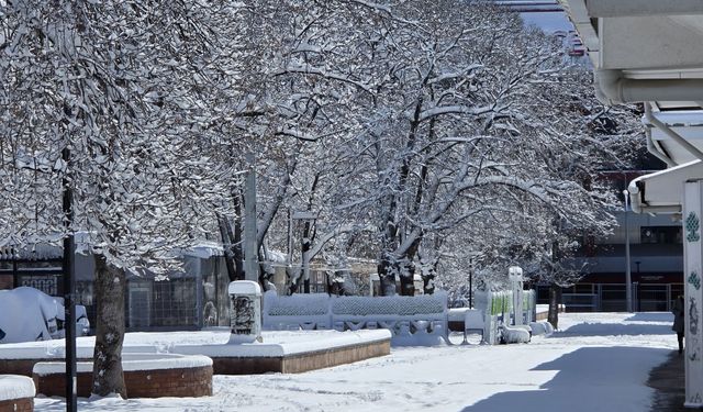 Erzincan Kışa Giriyor: Bugün Kar Yağışı Bekleniyor