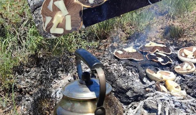 Erzincan Dağlarında Bahar Keyfi