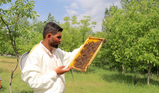 Hemofili Hastası Fatih’in Azmiyle Tatlanan Başarı: 91 Kovandan 2 Ton Bala Uzanan Yolculuk
