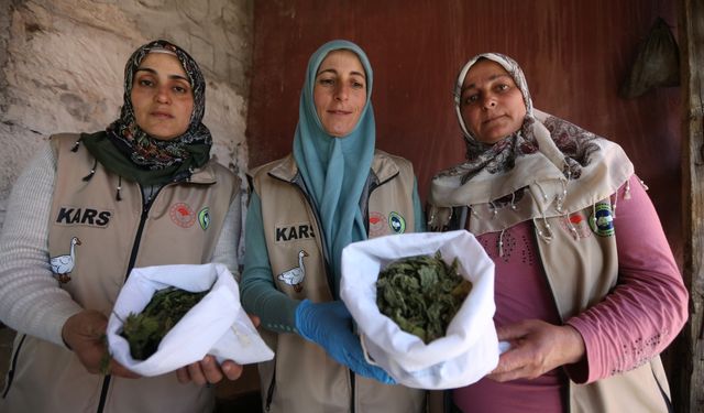 Kars’ta Köy Kadınları Doğadan Gelen Zenginlikle Ekonomiye Katkı Sağlıyor