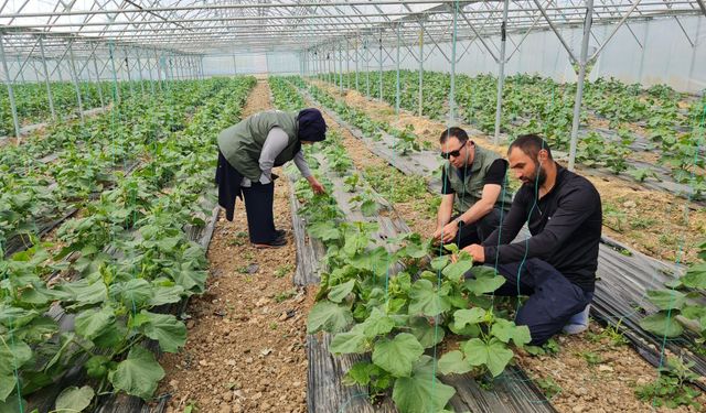 Erzincan’da Meyve Üreticilerine Kritik Uyarı!