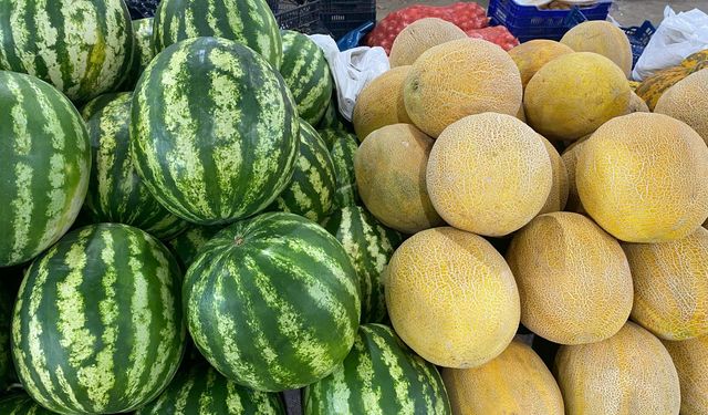 Erzincan’da Yazın Tadı Pazarlarda