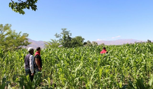 Boş Kalan Tarım Arazileri Kazanca Dönüşüyor!