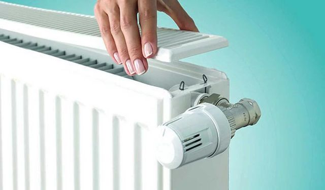 Evdeki Tozun Kaynağı Petekler Olabilir! 10 Dakikada Tertemiz Yöntem