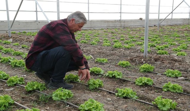 Erzincan’a Doğu Anadolu’nun En Büyük Serası