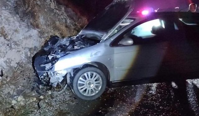 Erzincan’da Şok Anlar! Otomobil Bozayıya Çarptı, 1 Kişi Yaralandı