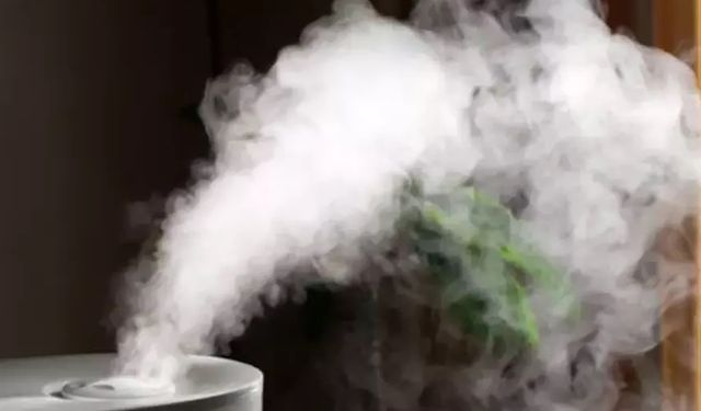 Kuru Havalara Veda: Nemlendirici Şifası