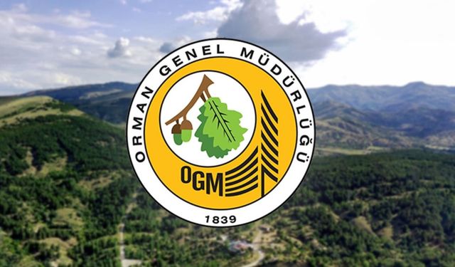 Orman Genel Müdürlüğü 496 Sözleşmeli Personel Alacak