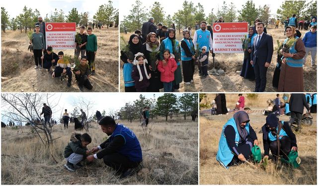 Rahmet Ormanı’na Fidanlar Can Buldu