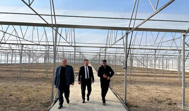 Şireci Toplu Sera Alanında İncelemelerde Bulundu