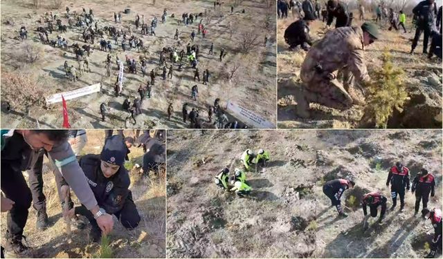 Emniyetten Anlamlı Dokunuş