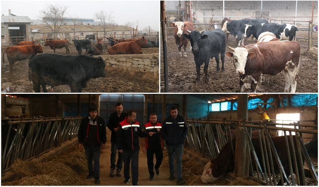 Erzincan’da Besi İşletmeleri Denetlendi