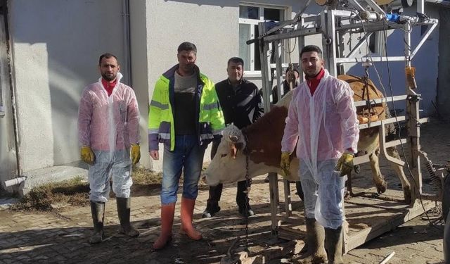 Erzincan’da Hayvancılığa Sahada Dokunuş: Birlik Ekipleri İlçe İlçe Hizmette