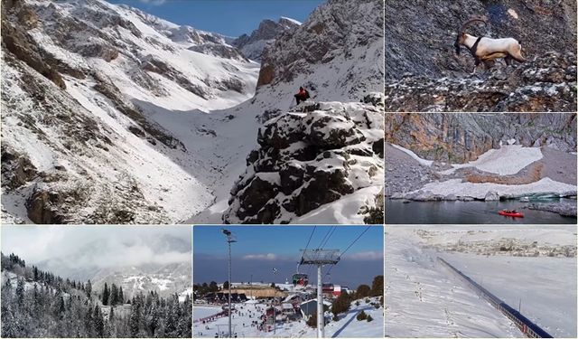 Erzincan’da Kış Masalı Başladı: Ergan’da Kar Manzaraları, Kemah’ta Dağ Keçisinin Asil Yürüyüşü Büyüledi