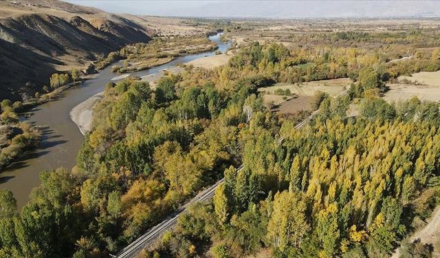 Erzincan’ın Toprağından Bilime Sürpriz Çıktı