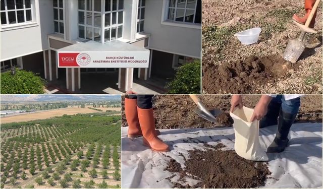 Toprağın Sırrı Bu Videoda: Doğru Numune Nasıl Alınır? (VİDEO)