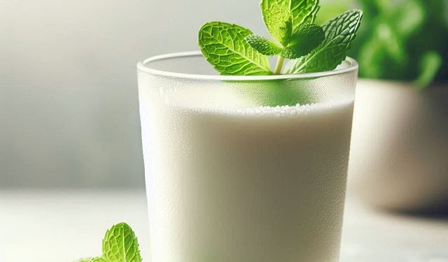 Ayranlı Formül Sindirimi Rahatlatıyor